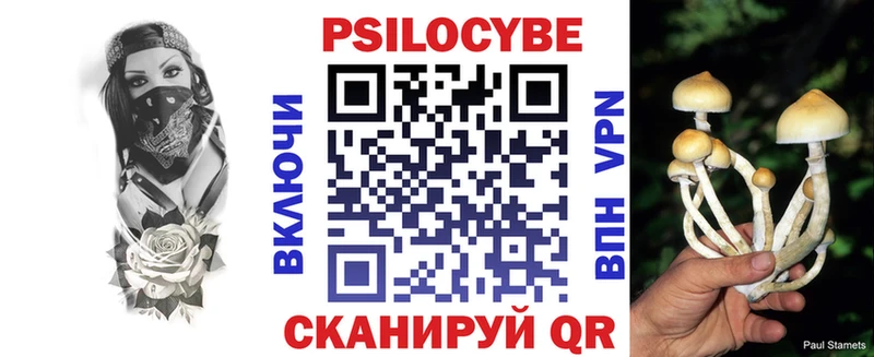 Галлюциногенные грибы Cubensis Купить закладки Анива