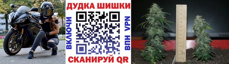 Бошки марихуана VHQ  Купить  Анива 